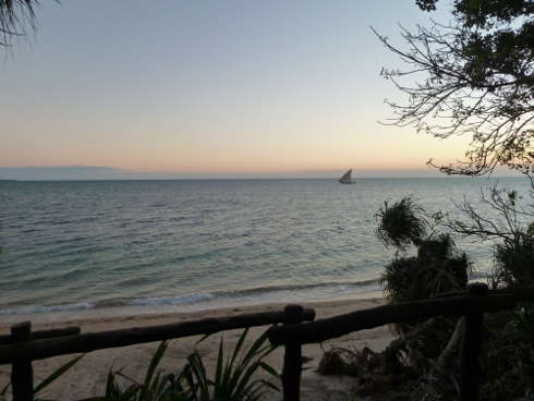 zanzibar2 © S Elsworth 2018