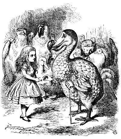 Dodo Dodo