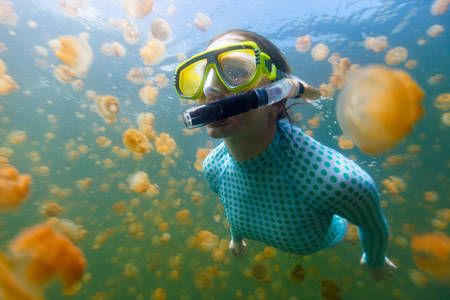 Jelly snorkelling at Palau. Copyright: <a href='https://www.123rf.com/profile_shalamov'>shalamov / 123RF Stock Photo</a>