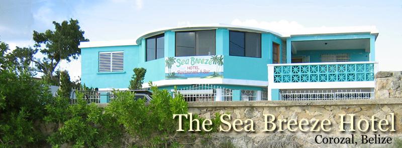 seabreezetop2 seabreezetop2