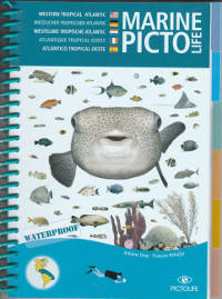 Marinepictos12
