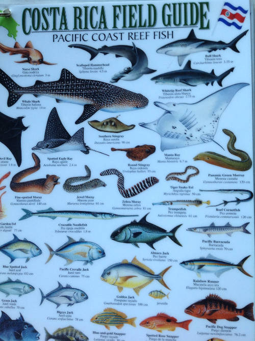 © Rainforest Publications 2000