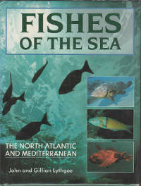 fishes of sea12