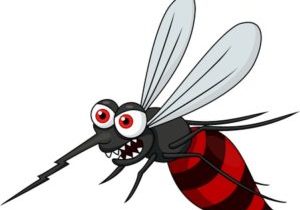 18586333 - angry mosquito cartoon